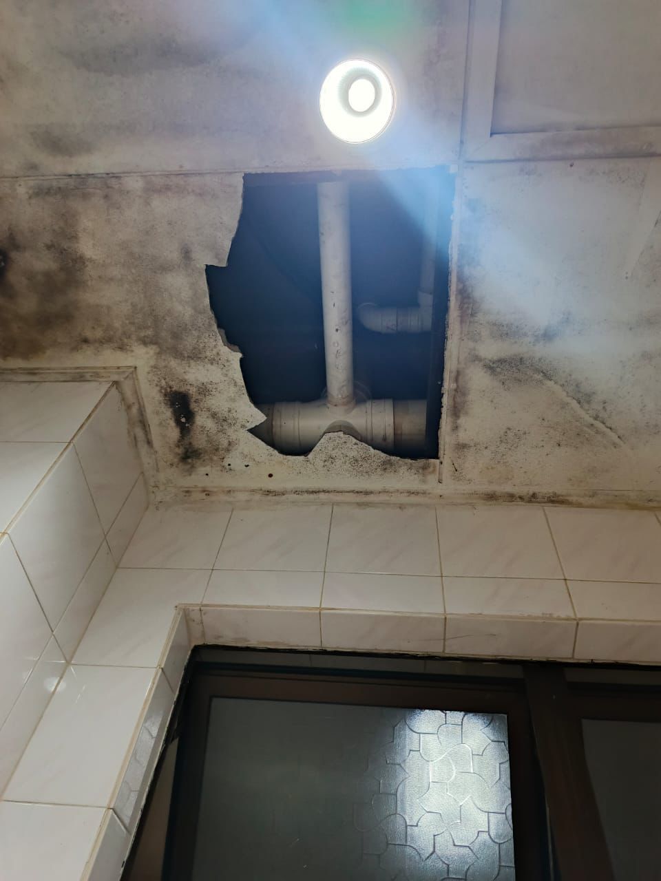 Ceiling Repair
